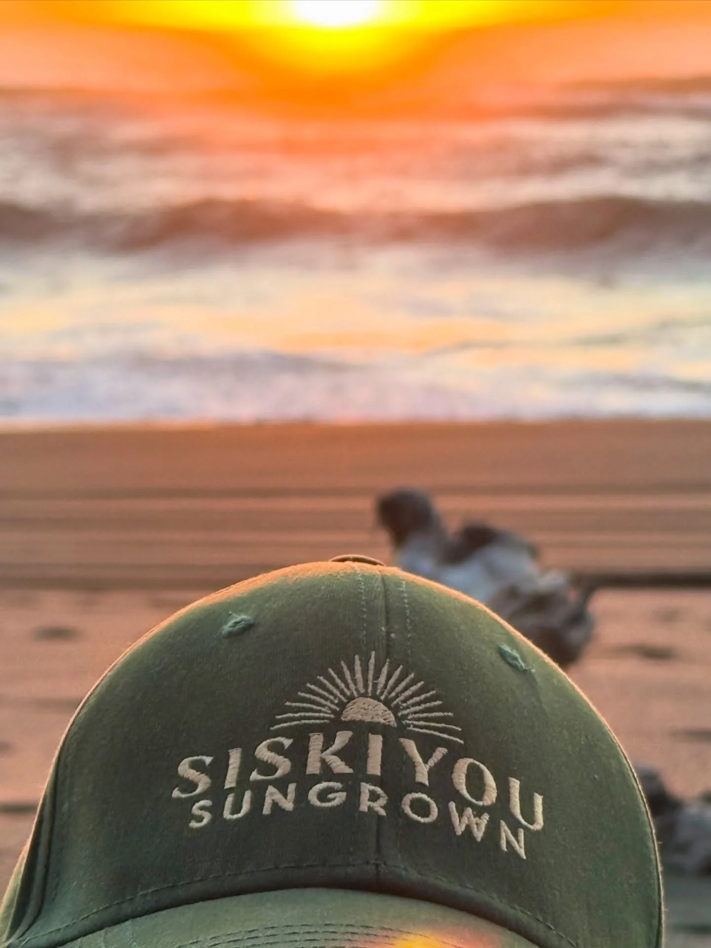 After seven years headquartered in Williams and five years in Grants Pass, Siskiyou Sungrown is now happily calling Port Orford home! Many many thanks to everyone who has supported us on the adventure, and we hope to connect again along the way!

#Po