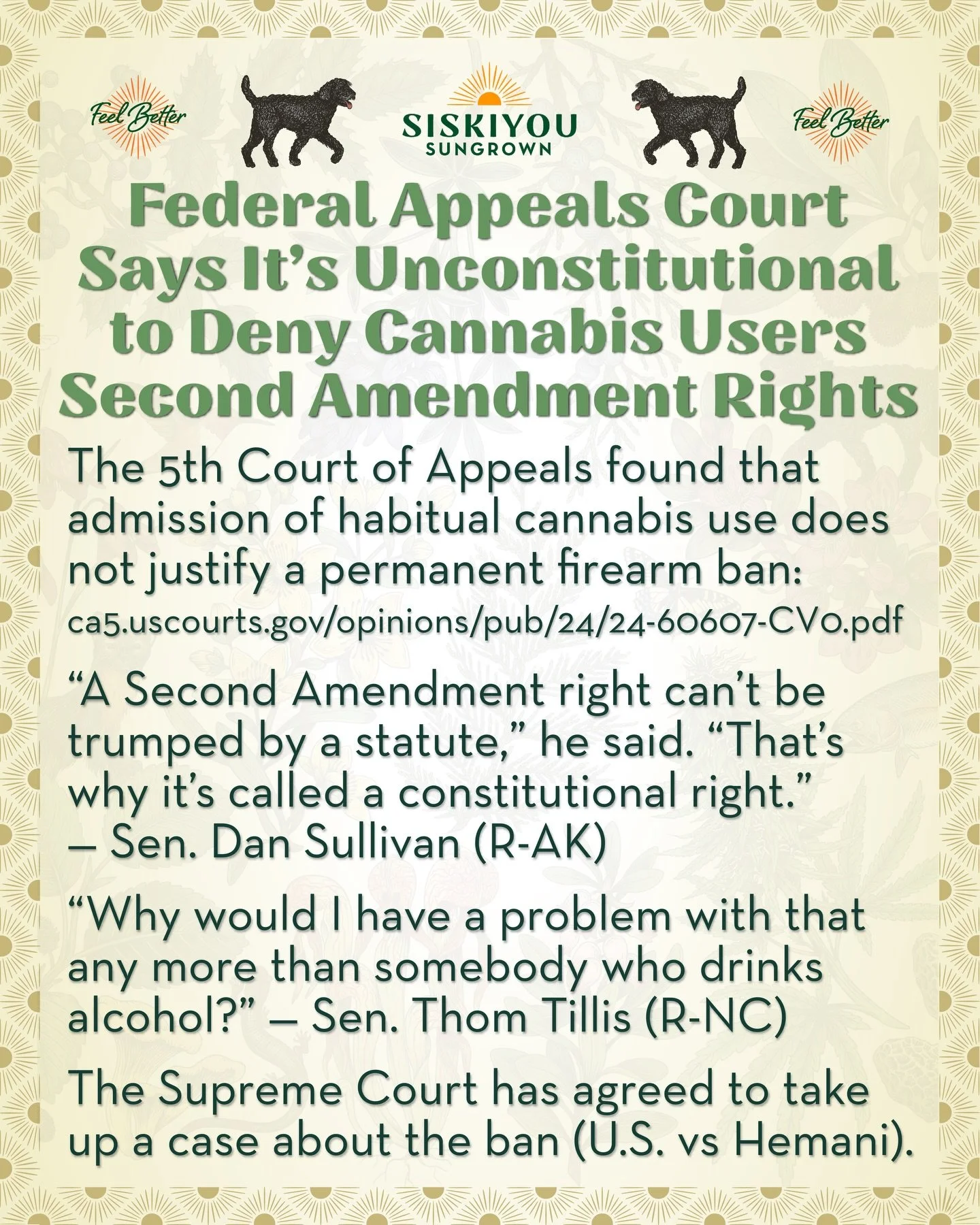 Federal Appeals Court Says It&rsquo;s Unconstitutional to Deny Cannabis Users Second Amendment Rights

The 5th Court found that admission of habitual cannabis use does not justify a permanent ban on firearm possession: ca5.uscourts.gov/opinions/pub/2