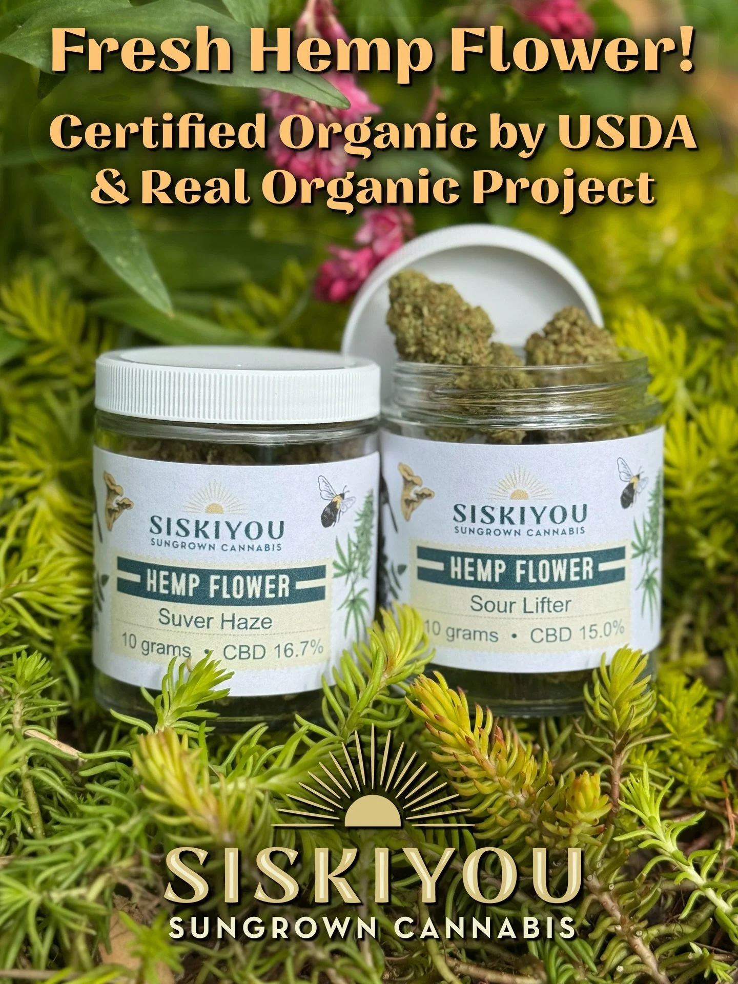 We have fresh Hemp flower for you! Certified organic by USDA and Real Organic Project, this is the highest quality Hemp flower you will find anywhere. Available in 10 gram, 1 ounce, or bulk quantities. 

Check it out at siskiyousungrowncbd.com

#Hemp