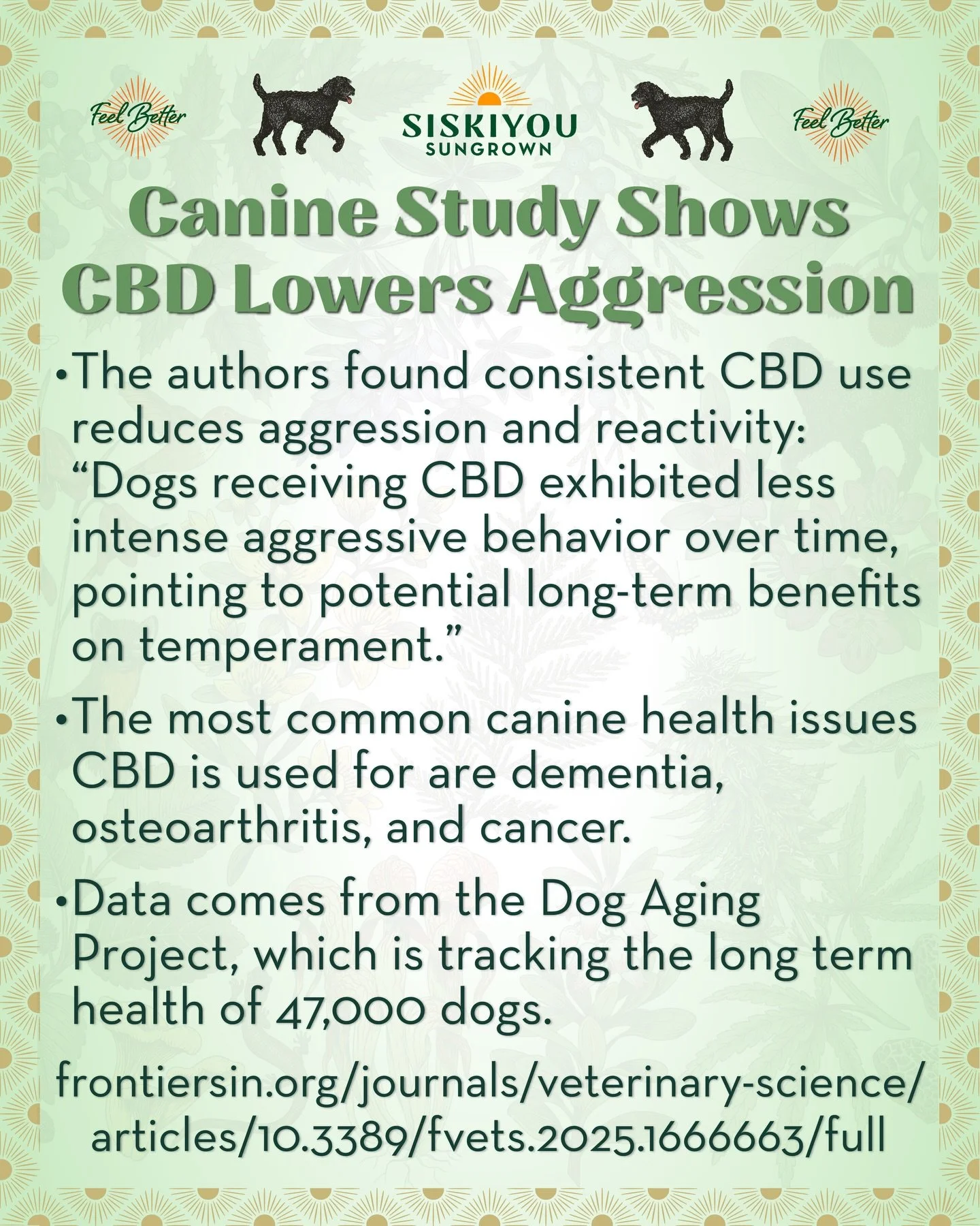 Canine Study Shows CBD Lowers Aggression

The authors found that consistent CBD use reduced aggression and reactivity: &ldquo;Dogs receiving CBD exhibited less intense aggressive behavior over time, pointing to potential long-term benefits on tempera