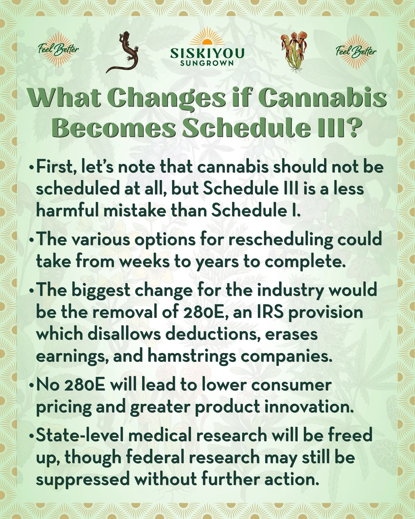 What Would Change if Cannabis Becomes Schedule III?

With media reporting that Trump may issue an executive order changing cannabis from Schedule I to Schedule III as soon as Monday, let&rsquo;s review what that could mean for patients, consumers, an