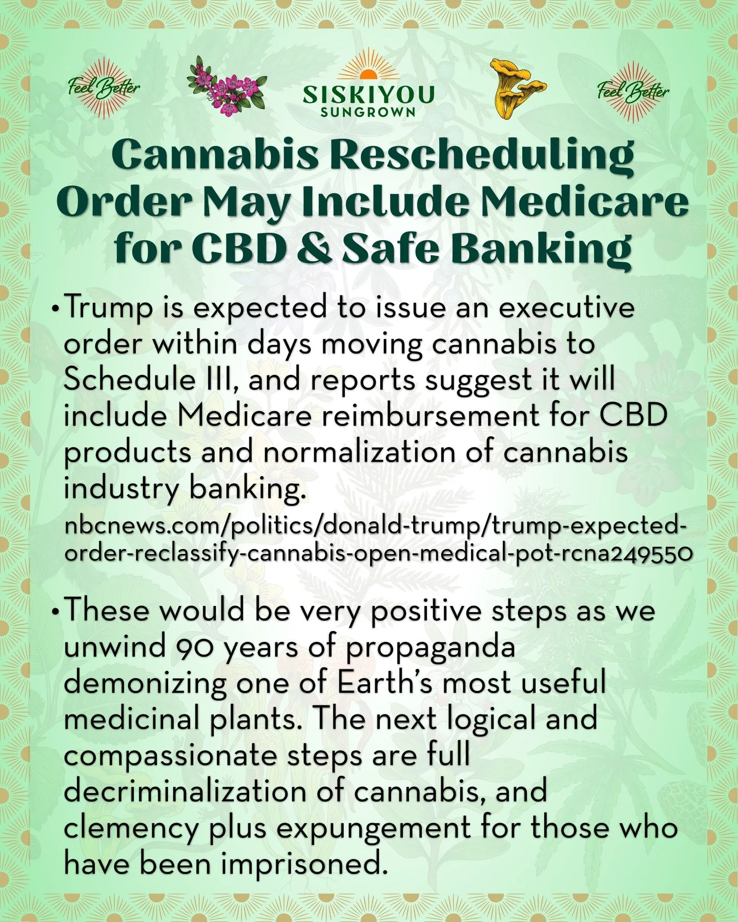 Cannabis Rescheduling Order May Include Medicare for CBD &amp; Safe Banking

Trump is expected to issue an executive order within days moving cannabis to Schedule III, and reports suggest it will include Medicare reimbursement for CBD products and no