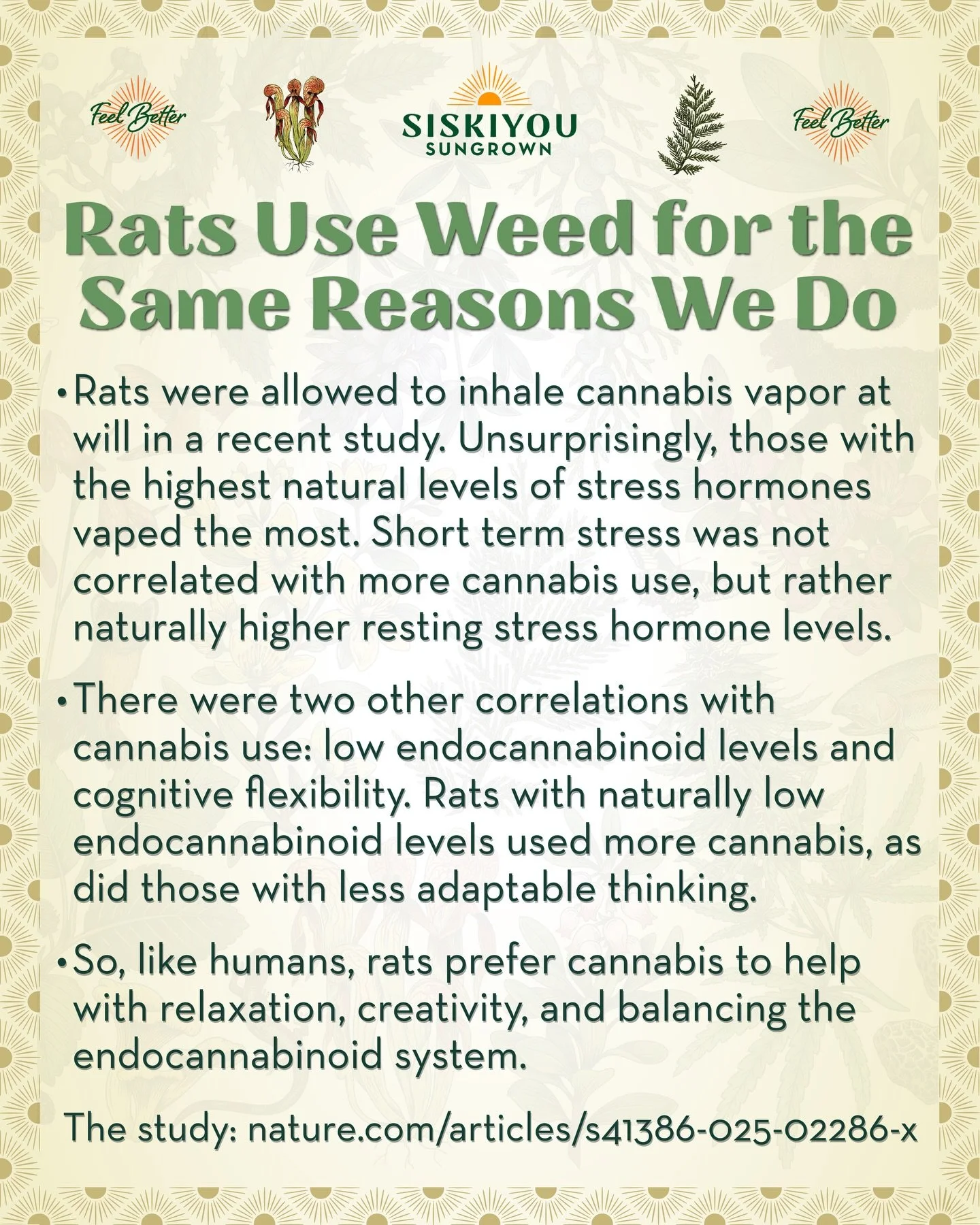 Rats Use Weed for the Same Reasons We Do

Rats were allowed to inhale cannabis vapor at will in a recent study. Unsurprisingly, those with the highest natural levels of stress hormones vaped the most. Short term stress was not correlated with more ca