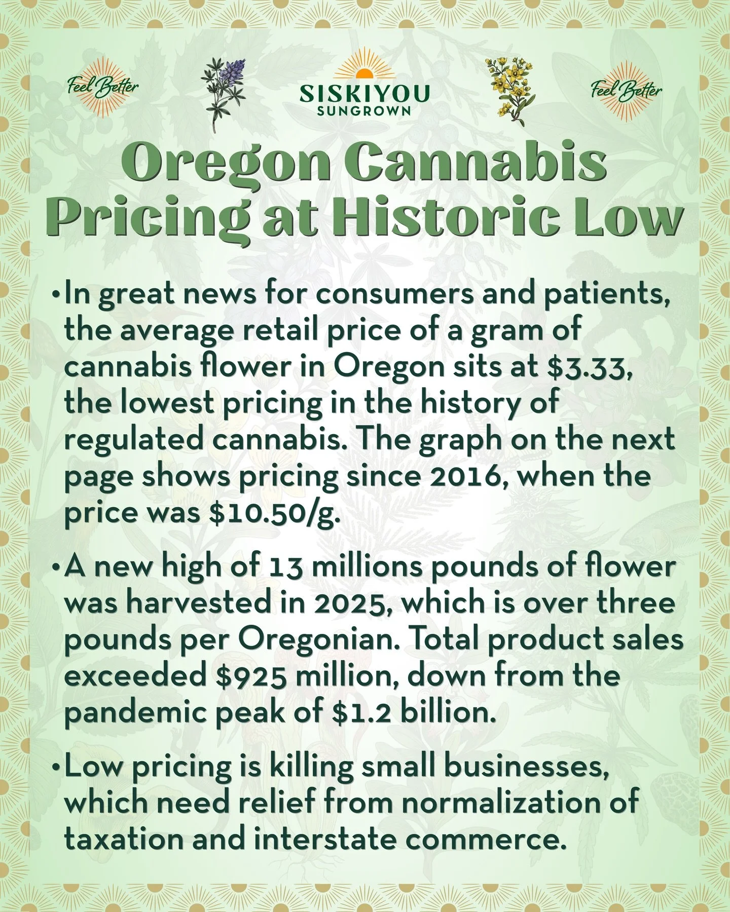 Oregon Cannabis Pricing at Historic Low

In great news for consumers and patients, the average retail price of a gram of cannabis flower in Oregon sits at $3.33, the lowest pricing in the history of regulated cannabis. The graph on the next page show