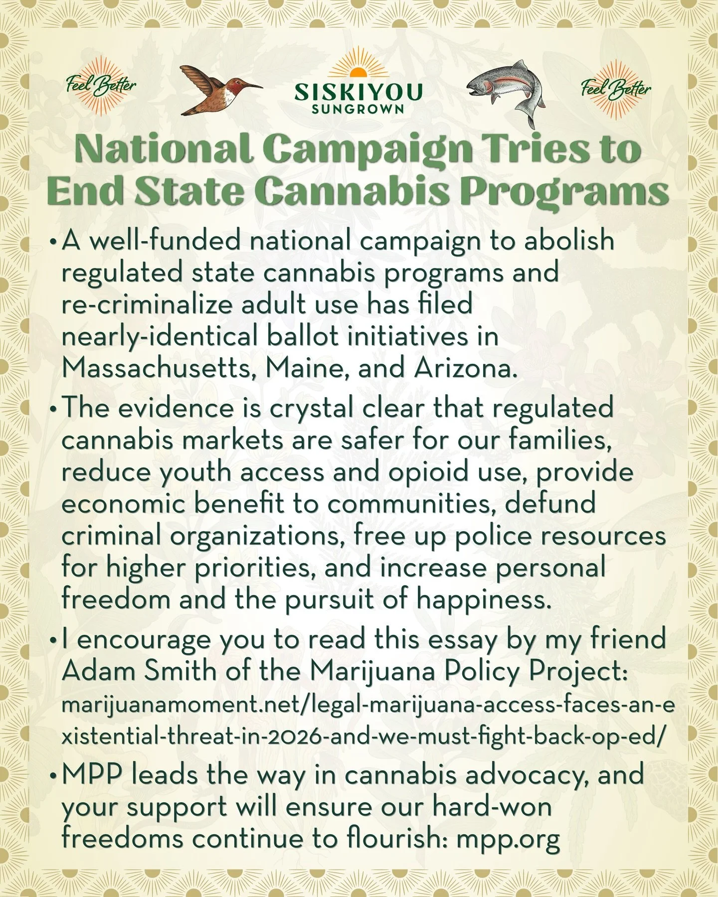 National Campaign Tries to End State Cannabis Programs 

A well-funded national campaign to abolish regulated state cannabis programs and re-criminalize adult use has filed nearly-identical ballot initiatives in Massachusetts, Maine, and Arizona. In 