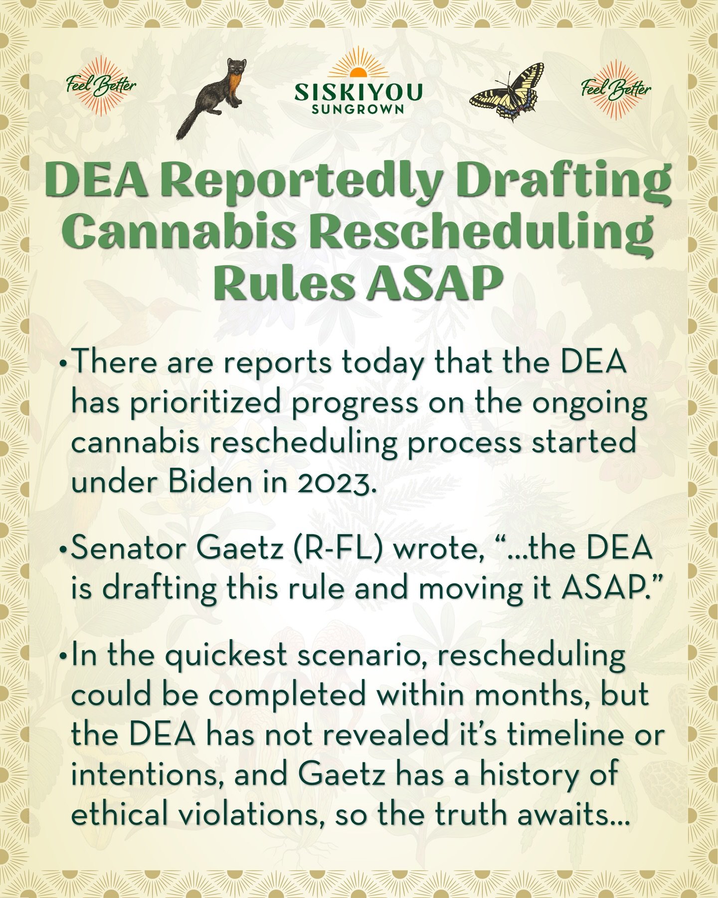 There are reports today that the DEA has prioritized progress on the ongoing cannabis rescheduling process started under Biden in 2023.

DEA Reportedly Drafting Cannabis Rescheduling Rules ASAP

There are reports today that the DEA has prioritized pr