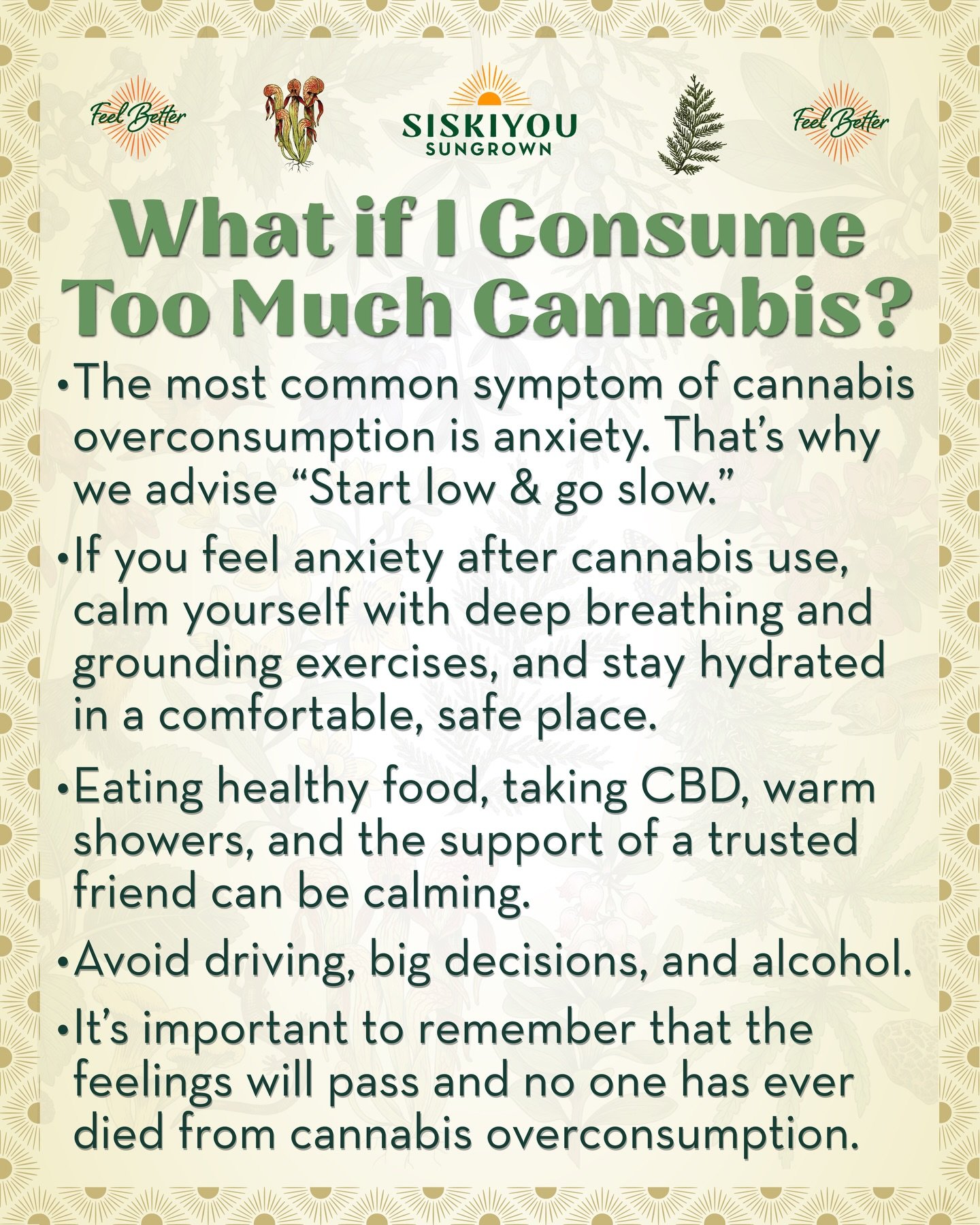 What if I Consume Too Much Cannabis?

The most common symptom of cannabis overconsumption is anxiety. That&rsquo;s why we advise &ldquo;Start low &amp; go slow.&rdquo;

If you feel anxiety after cannabis use, calm yourself with deep breathing and gro