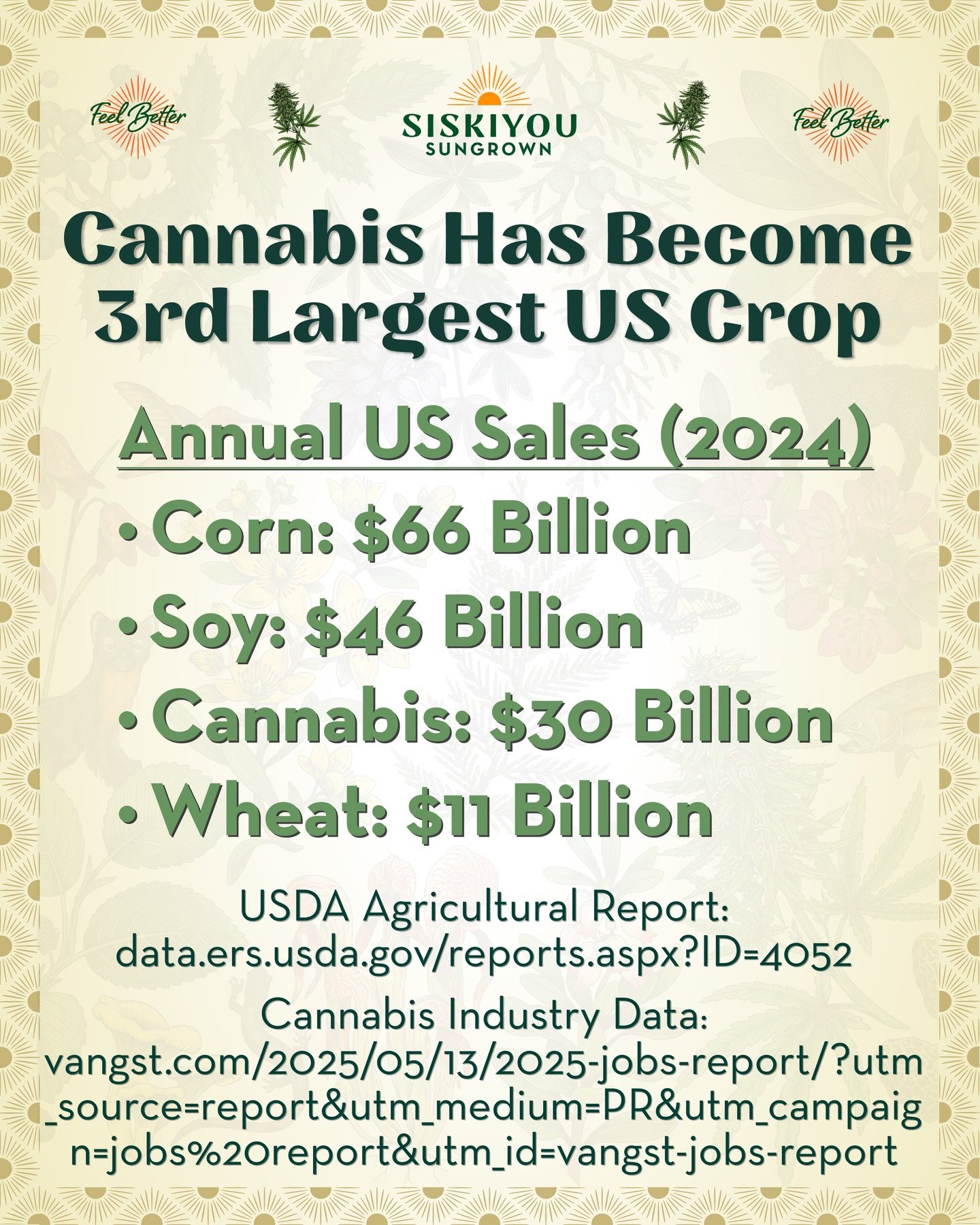Cannabis Has Become the 3rd Largest US Crop

Annual US Sales (2024)
Corn &mdash; $66 Bilion
Soy &mdash; $46 Billion
Cannabis &mdash; $30 Billion
Wheat &mdash; $11 Billion

The US regulated cannabis industry already produces more revenue than every US