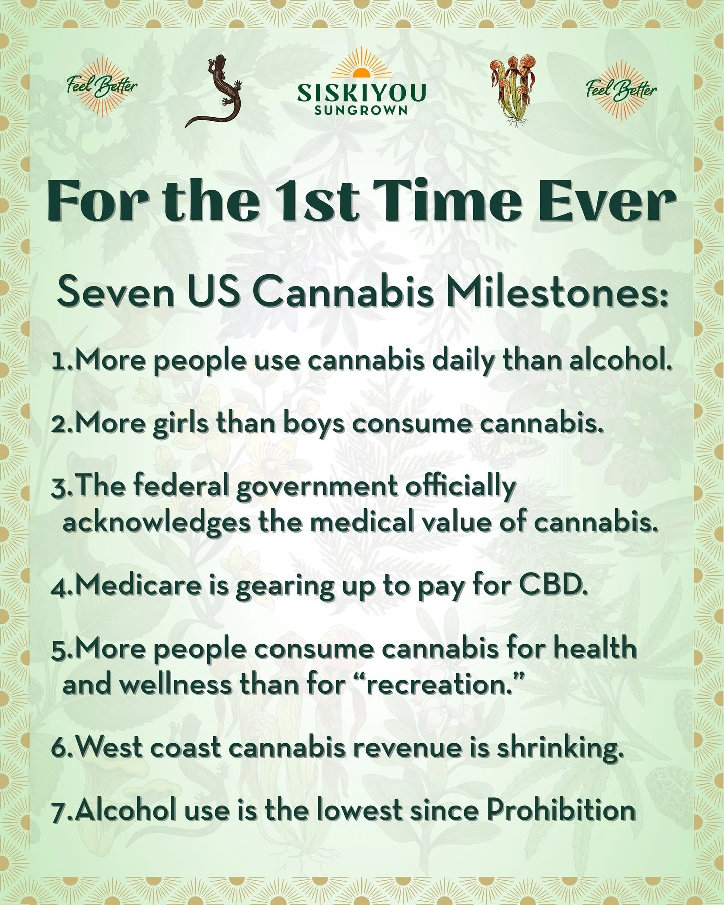 For the first time ever in the US:

1. More people use cannabis daily than alcohol.
2. More girls than boys are consuming cannabis.
3. The federal government officially acknowledges the medical value of cannabis.
4. Medicare is gearing up to pay for 