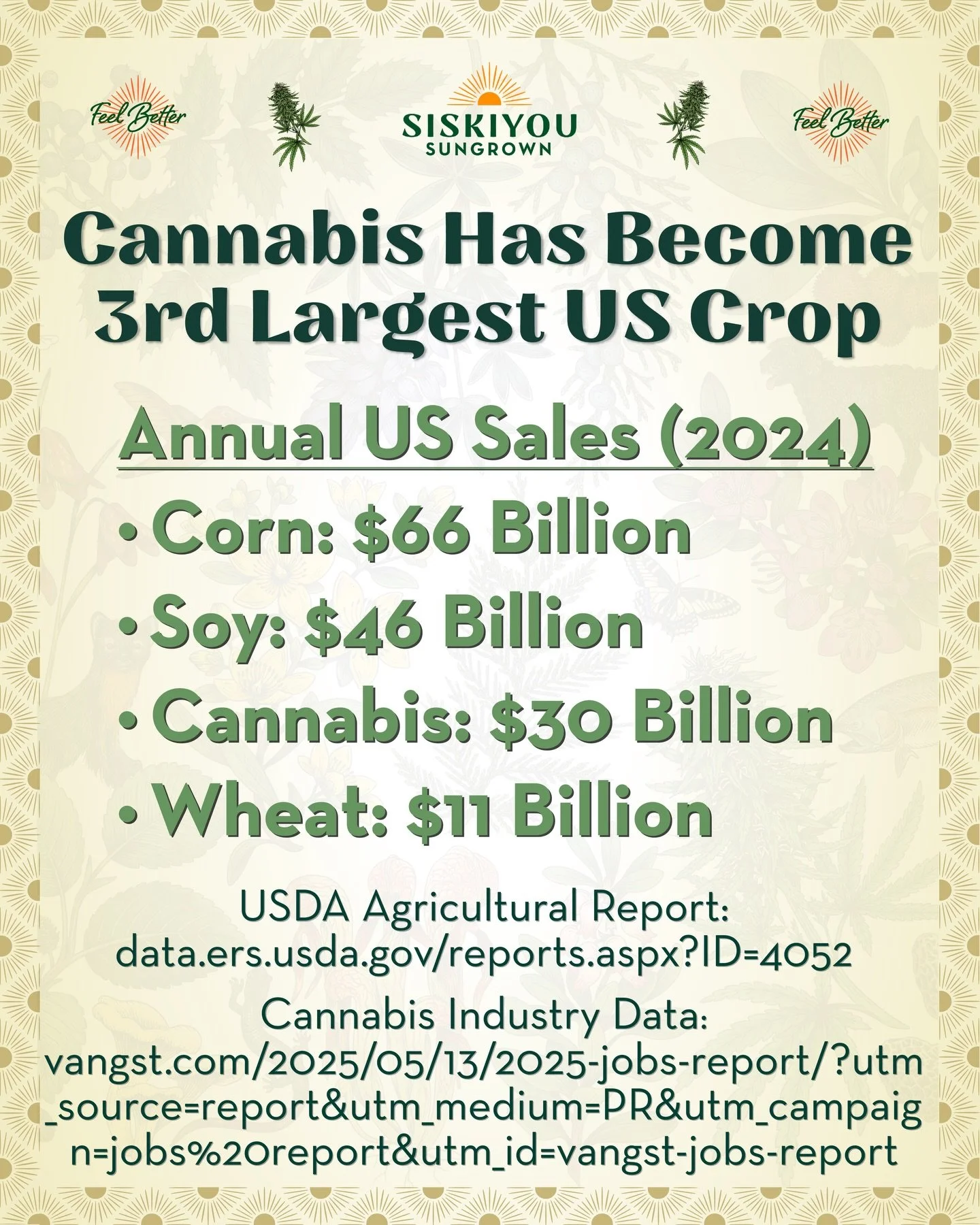 Cannabis Has Become the 3rd Largest US Crop

Annual US Sales (2024)
Corn &mdash; $66 Bilion
Soy &mdash; $46 Billion
Cannabis &mdash; $30 Billion
Wheat &mdash; $11 Billion

The US regulated cannabis industry already produces more revenue than every US