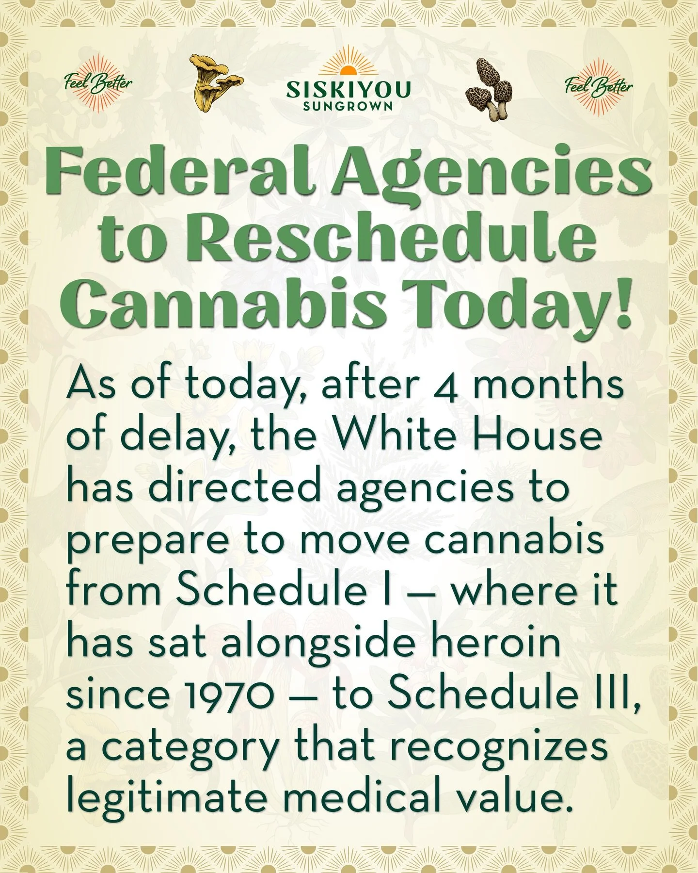 The federal government is finally moving to reclassify cannabis.

As of today, the White House has directed agencies to prepare to move cannabis from Schedule I &mdash; where it has sat alongside heroin since 1970 &mdash; to Schedule III, a category 