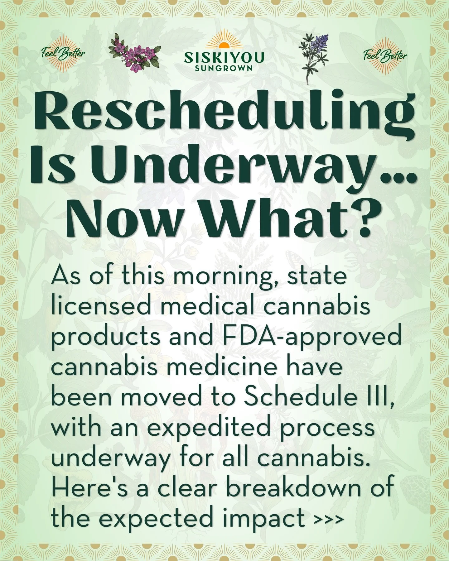 Rescheduling Is Underway&hellip; Now What?

As of this morning, 4/23/26, state-licensed medical cannabis products and FDA-approved cannabis medicine have been moved to Schedule III, with an expedited process underway for all cannabis. The reschedulin