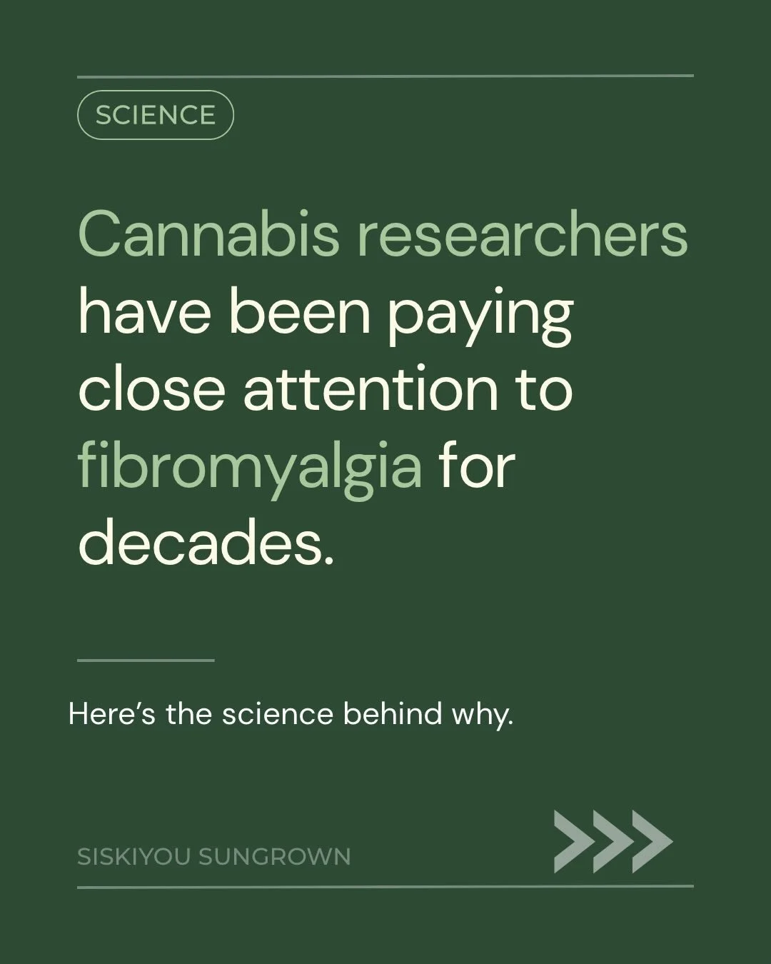 Fibromyalgia affects an estimated 10 million Americans, most of them women, and conventional medicine has struggled to explain or treat it effectively. Cannabis researchers have been paying attention for decades, and the emerging science around the e