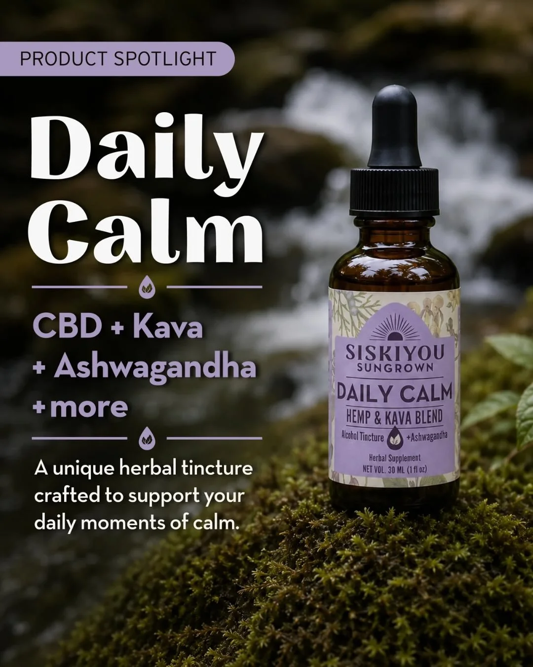 Meet Daily Calm 🌿

Daily Calm combines full-spectrum CBD-rich hemp extract with a thoughtful blend of traditional botanicals including kava, ashwagandha, holy basil, lavender, and cardamom.

Crafted as an alcohol tincture, Daily Calm is designed to 