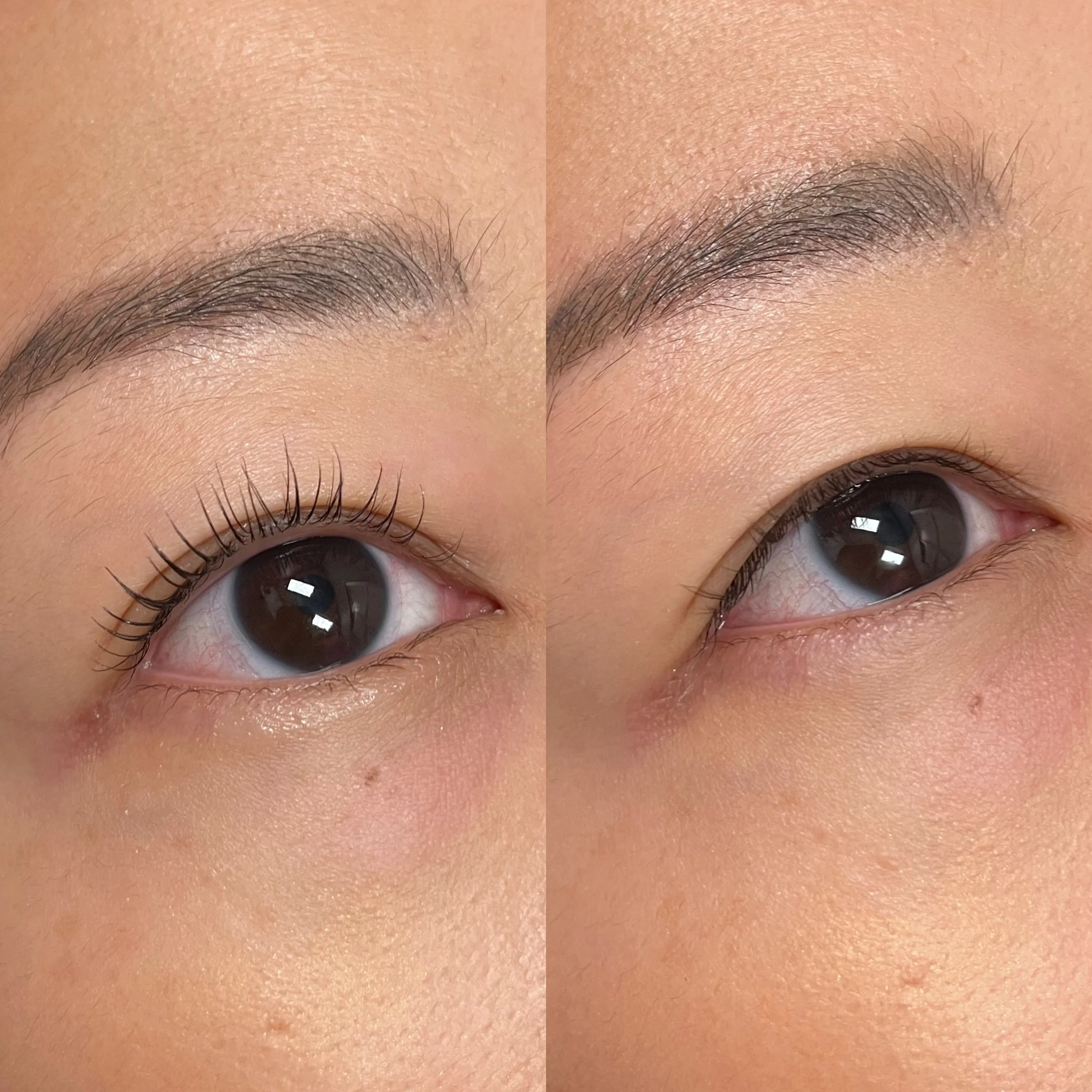 Lash Lift.JPG