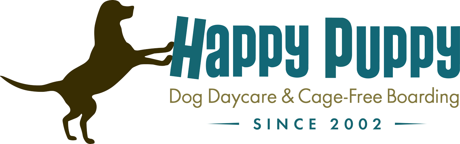 Happy Puppy
