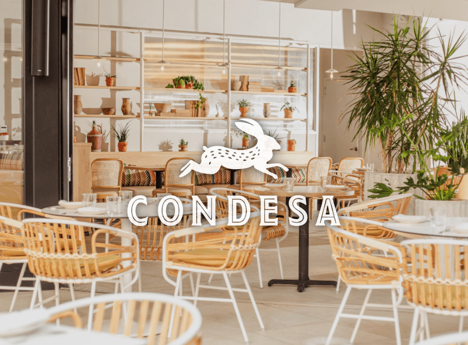 Condesa | Modern Mexican Philadelphia, PA Restaurant