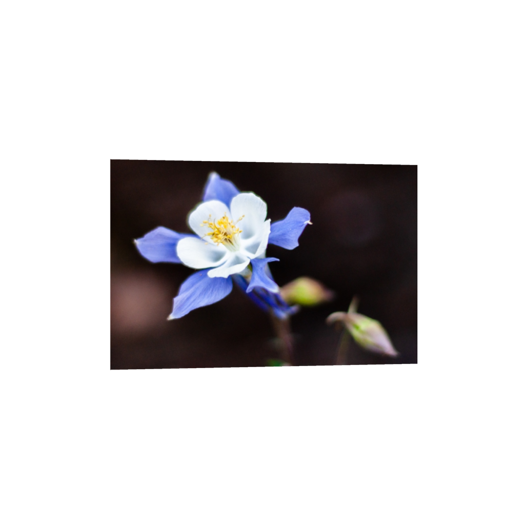 fineartprints_rectangle2_3_0_8_2668_1778_0_false_ffffff_0_0.png