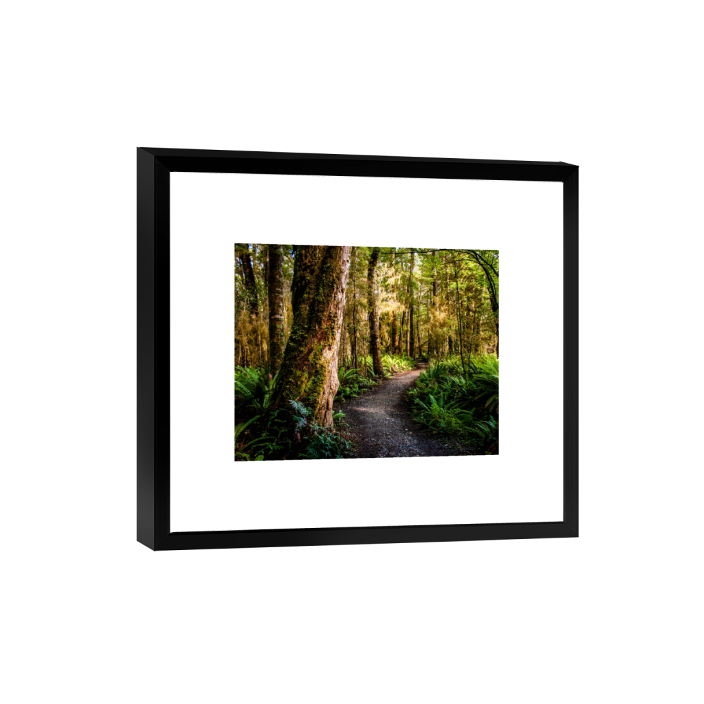 smartframe_rectangle4_5_0_0_3060_2448_0_false_ffffff_0_0.png