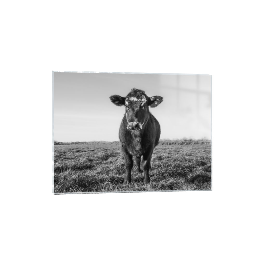 acrylicprint_rectangle3_4_100_0_4002_3002_0_false_ffffff_0_0.png