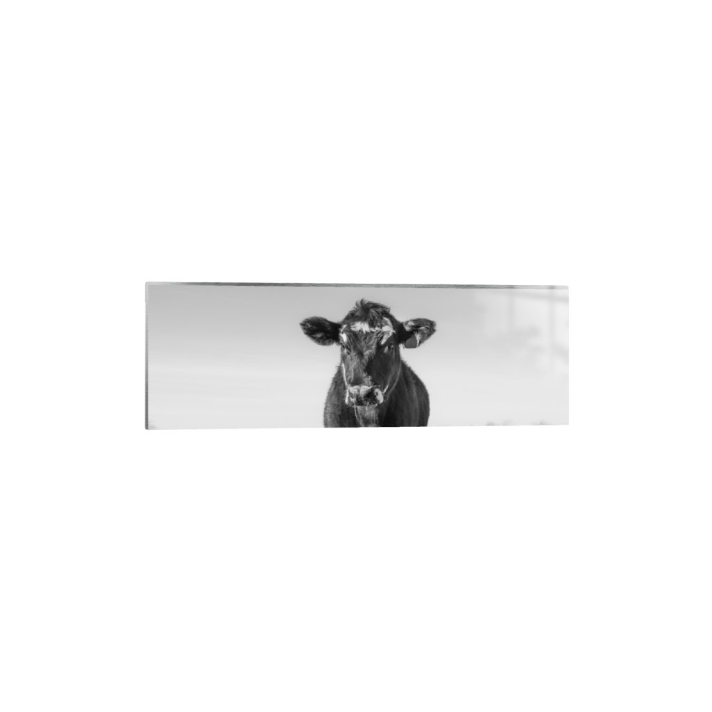 metalprint_rectangle1_3_0_238_4203_1401_0_false_ffffff_0_0.png