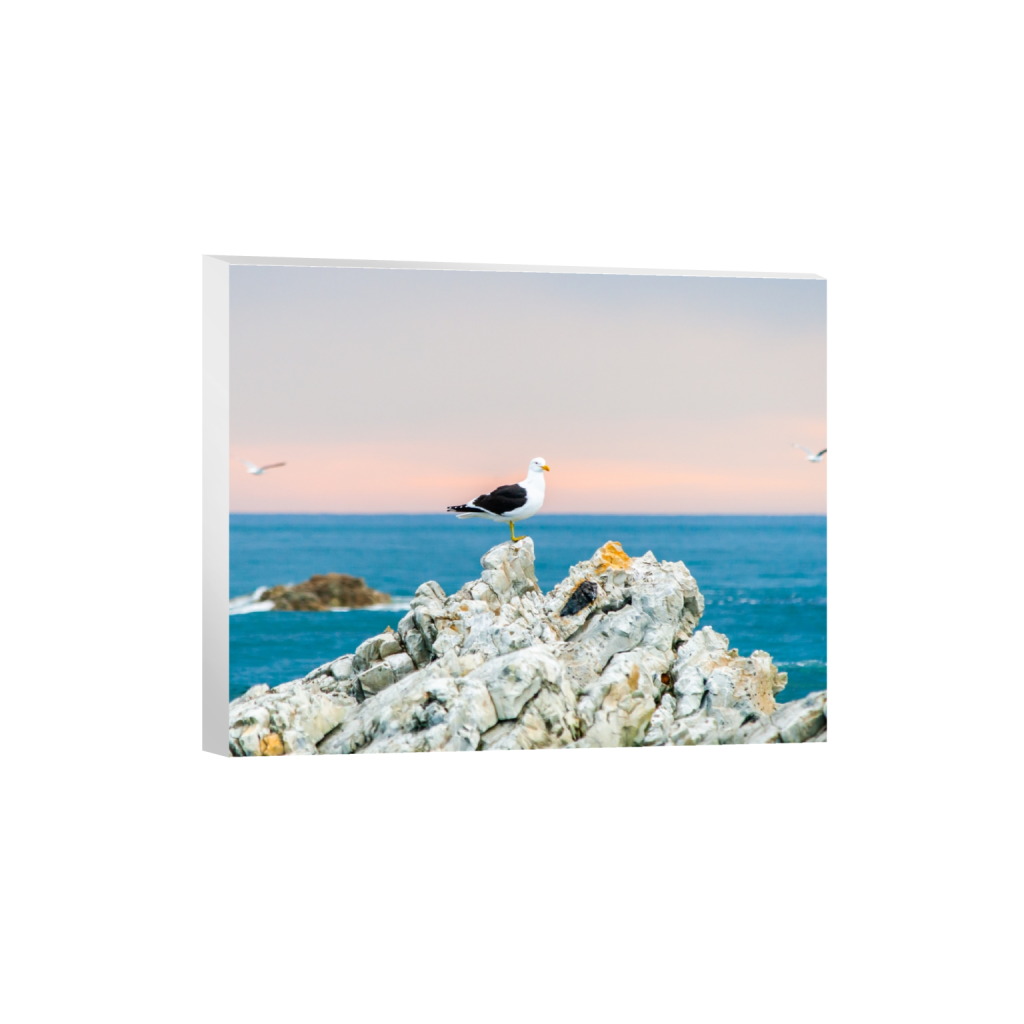 canvas_rectangle4_5_235_0_2798_2239_0_false_ffffff_0_0.png