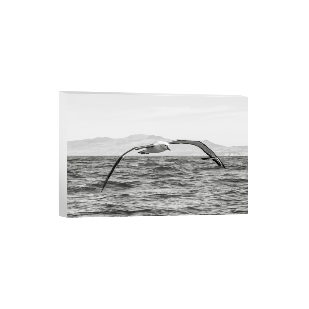 canvas_rectangle2_3_0_76_3189_2126_0_false_ffffff_0_0.png