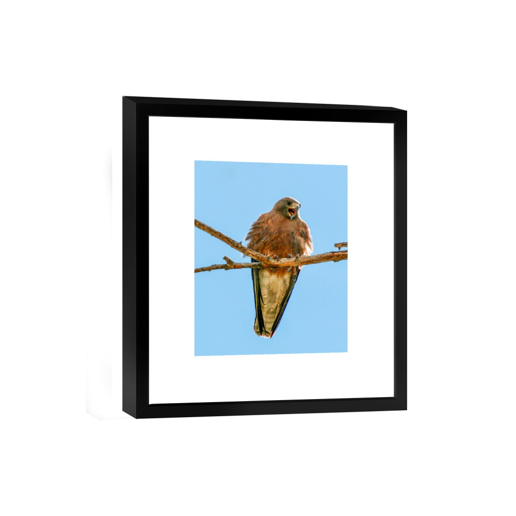 smartframe_rectangle4_5_0_106_1423_1778_0_false_ffffff_0_0.png