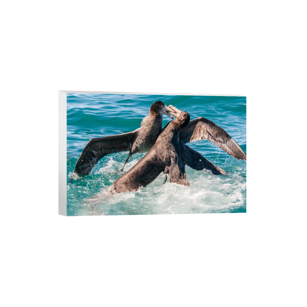 canvas_rectangle2_3_0_0_2301_1534_0_false_ffffff_0_0.png