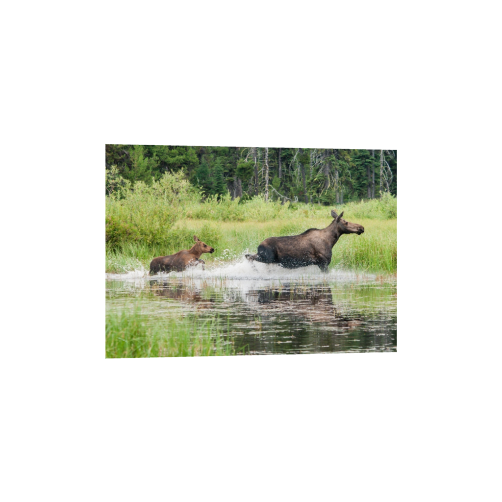 fineartprints_rectangle5_7_0_0_3256_2325_0_false_ffffff_0_0.png