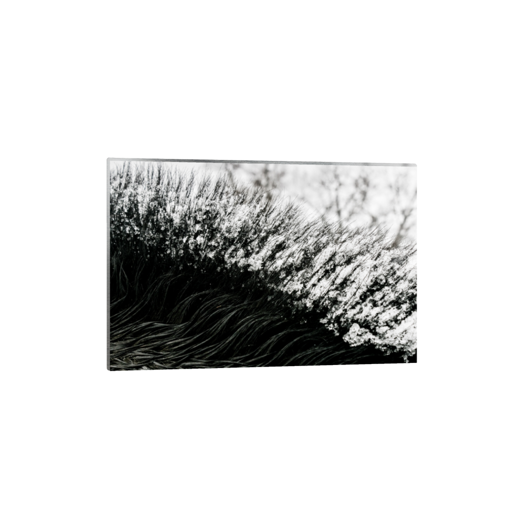 ptq_13_3_0_156_6556_4370_0_false_ffffff_0_0_.png