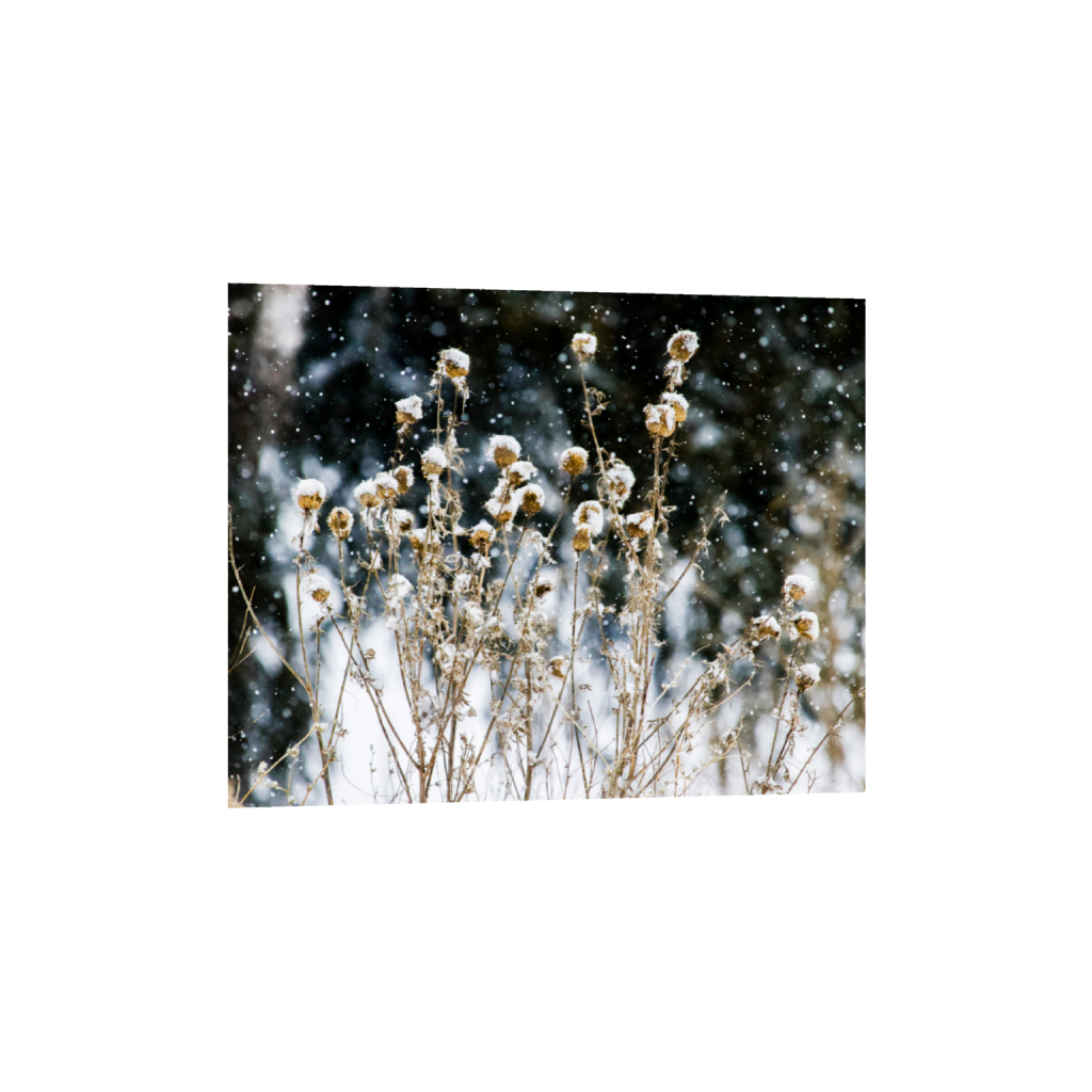 ptq_1_6_535_0_8917_7134_0_false_ffffff_0_0_.png