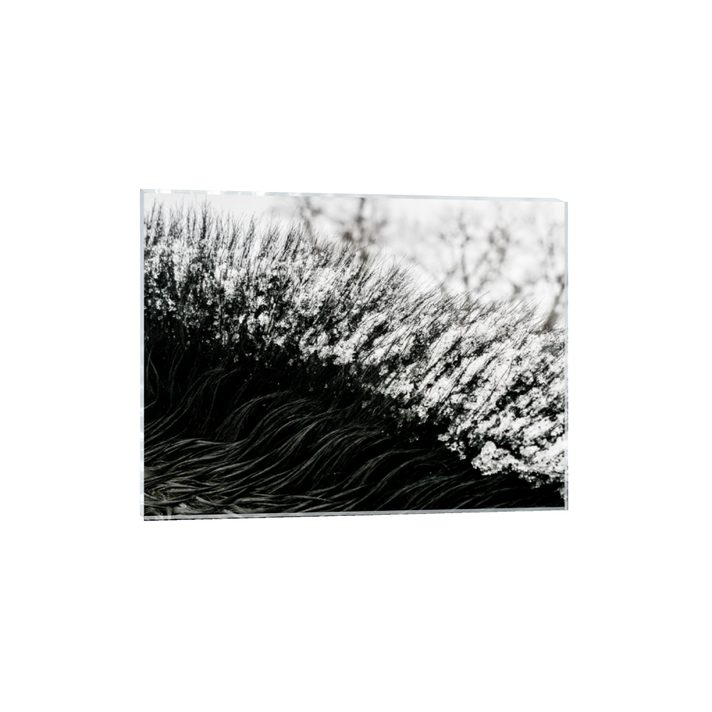 ptq_17_5_156_0_6244_4683_0_false_ffffff_0_0_.png