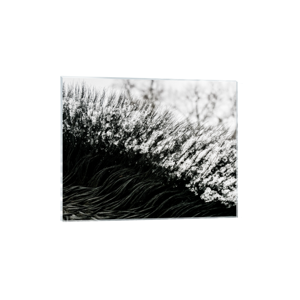 ptq_17_6_351_0_5853_4683_0_false_ffffff_0_0_.png