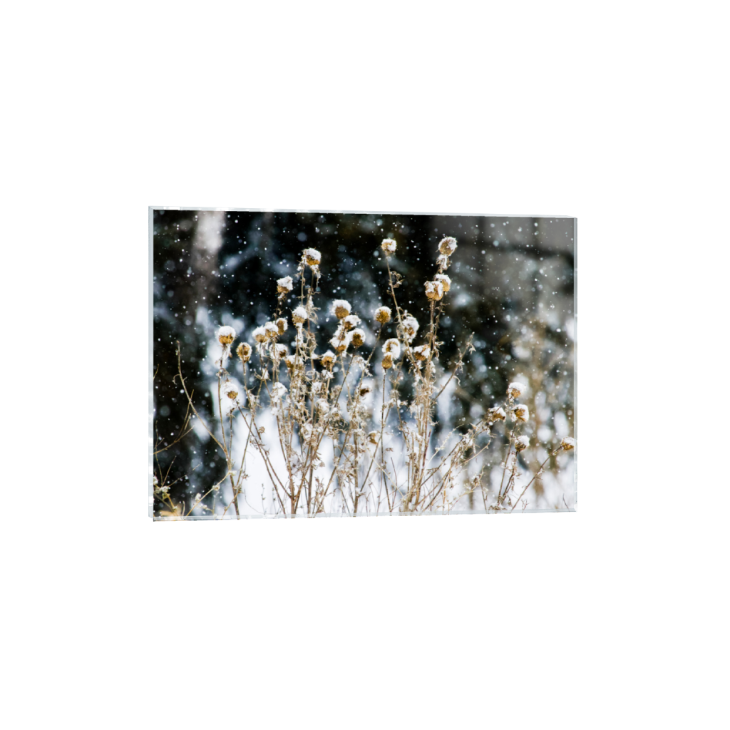 ptq_17_7_0_0_9987_7134_0_false_ffffff_0_0_.png