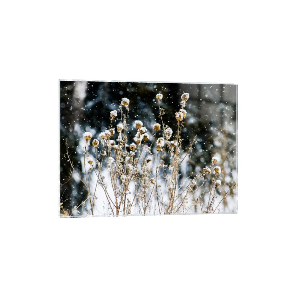 ptq_17_5_238_0_9512_7134_0_false_ffffff_0_0_.png
