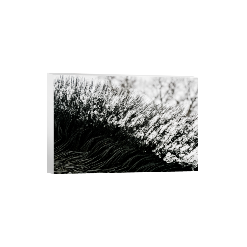 ptq_7_3_0_156_6556_4370_0_false_ffffff_0_0_.png