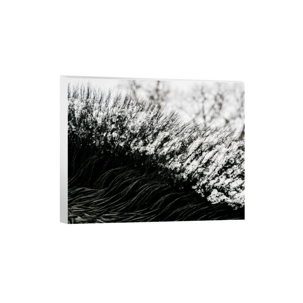 ptq_7_6_351_0_5853_4683_0_false_ffffff_0_0_.png