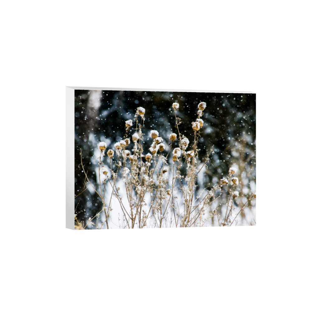 ptq_7_5_238_0_9512_7134_0_false_ffffff_0_0_.png