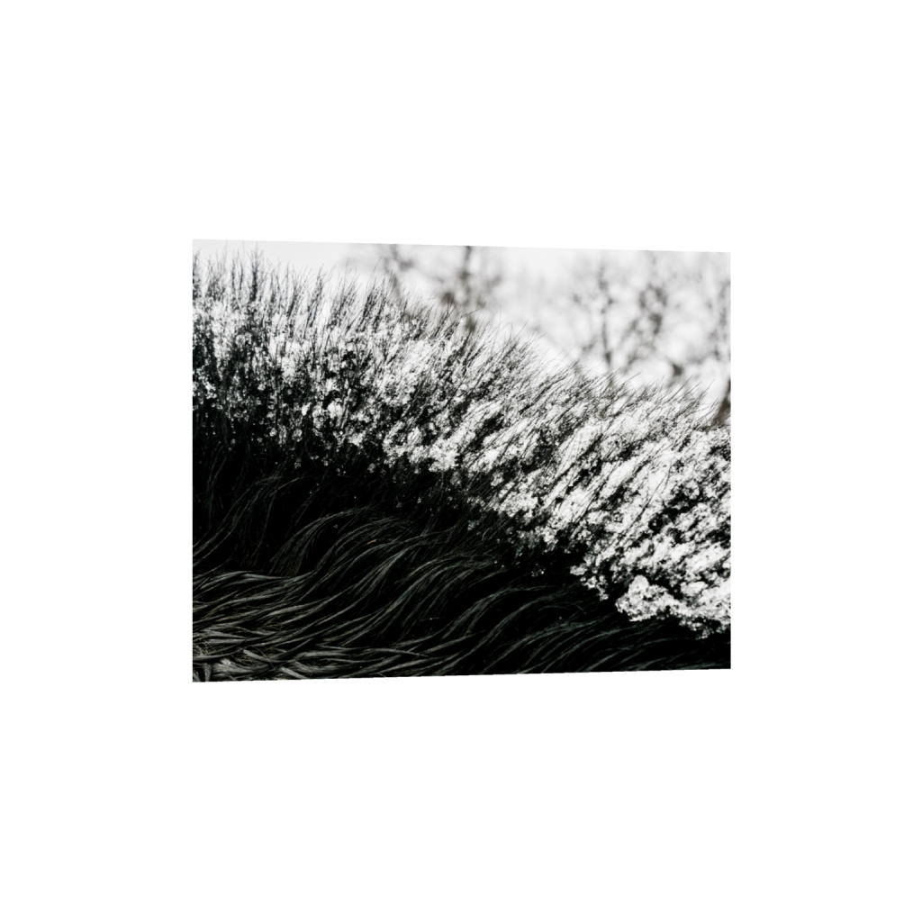 ptq_1_6_351_0_5853_4683_0_false_ffffff_0_0_.png