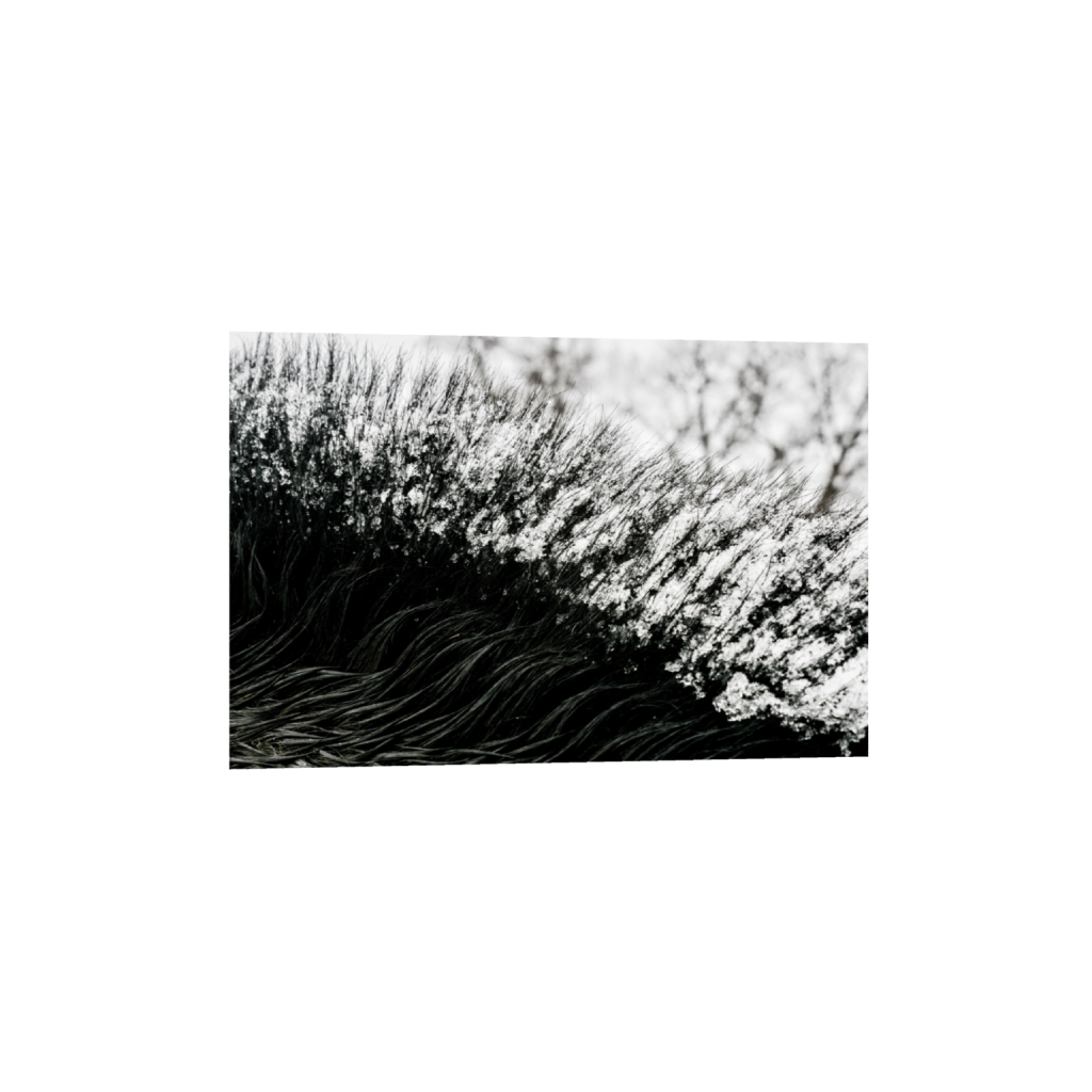ptq_1_3_0_156_6556_4370_0_false_ffffff_0_0_.png
