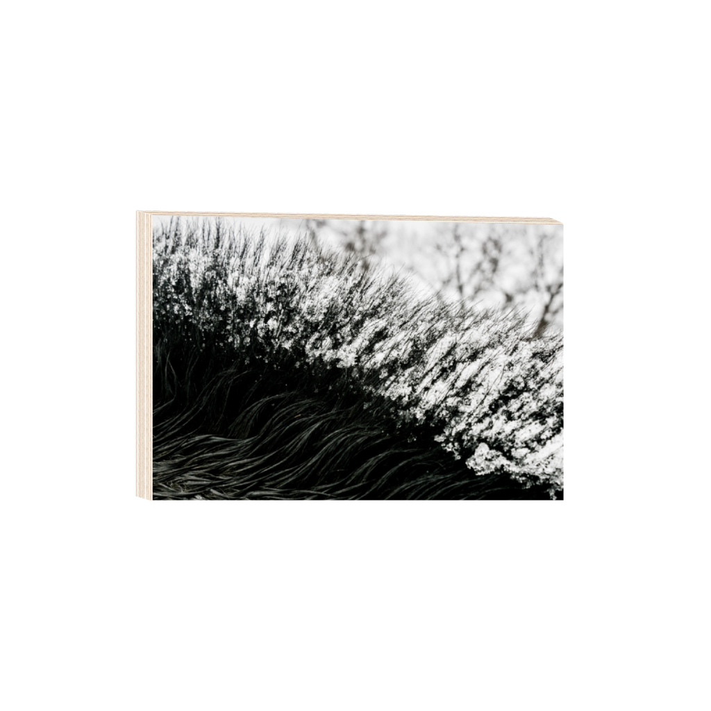 ptq_29_3_0_156_6556_4370_0_false_ffffff_0_0_.png