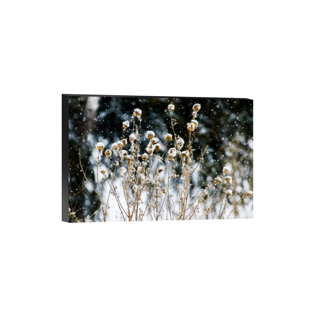 ptq_32_3_0_237_9988_6658_0_false_ffffff_0_0_.png