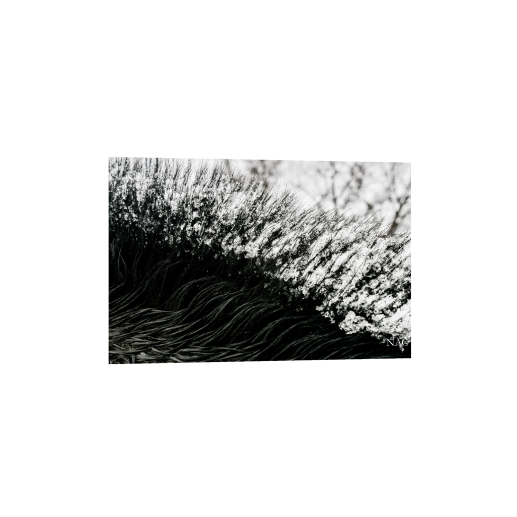 ptq_1_3_0_334_6556_4370_0_false_ffffff_0_0_.png