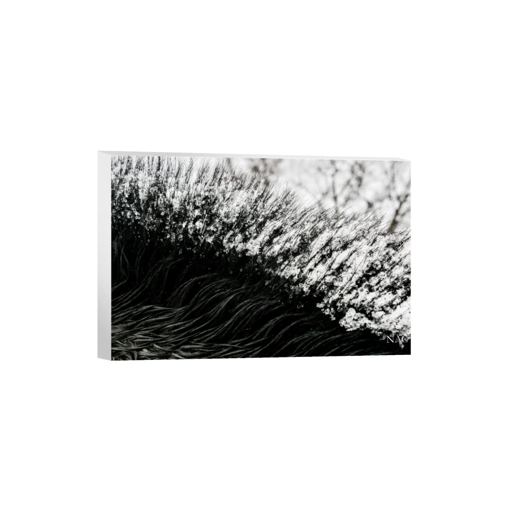 ptq_7_3_0_334_6556_4370_0_false_ffffff_0_0_.png