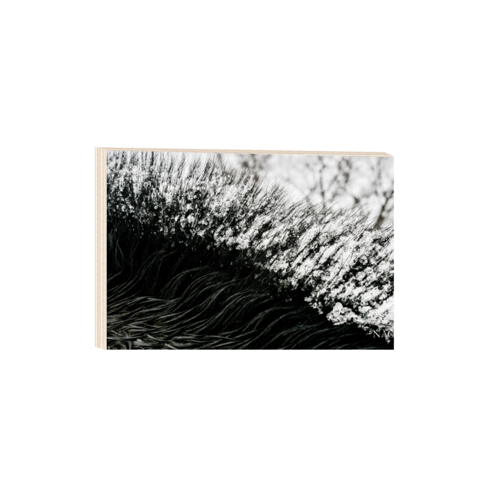 ptq_29_3_0_334_6556_4370_0_false_ffffff_0_0_.png