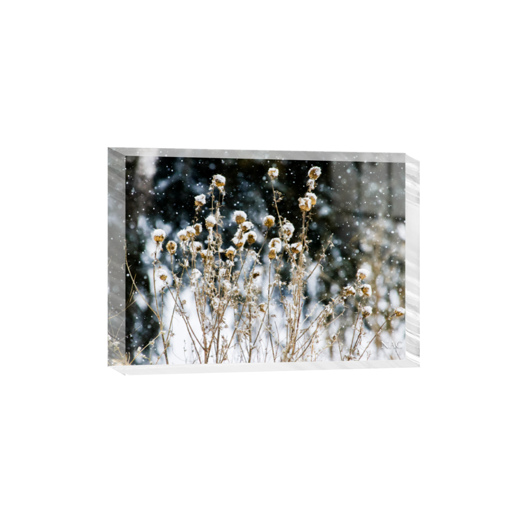 ptq_300_7_0_0_9987_7134_0_false_ffffff_0_0_.png