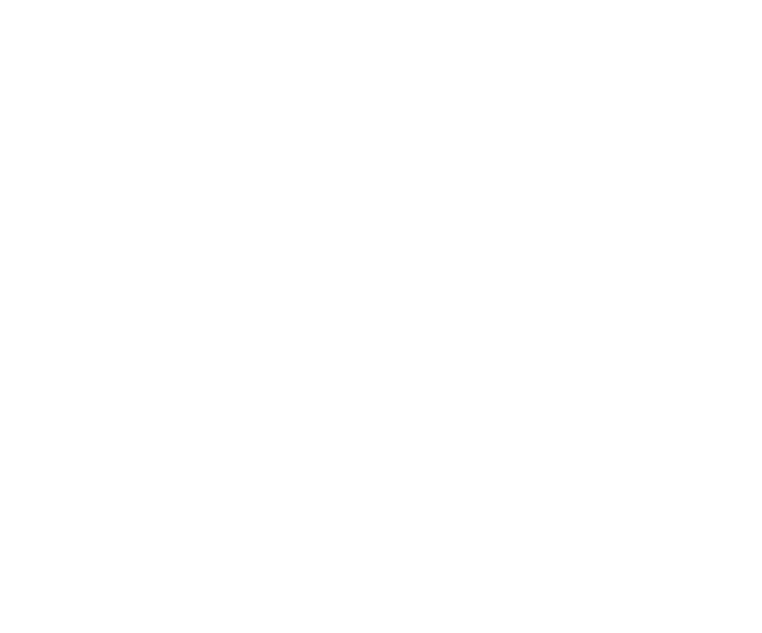 Armor Health