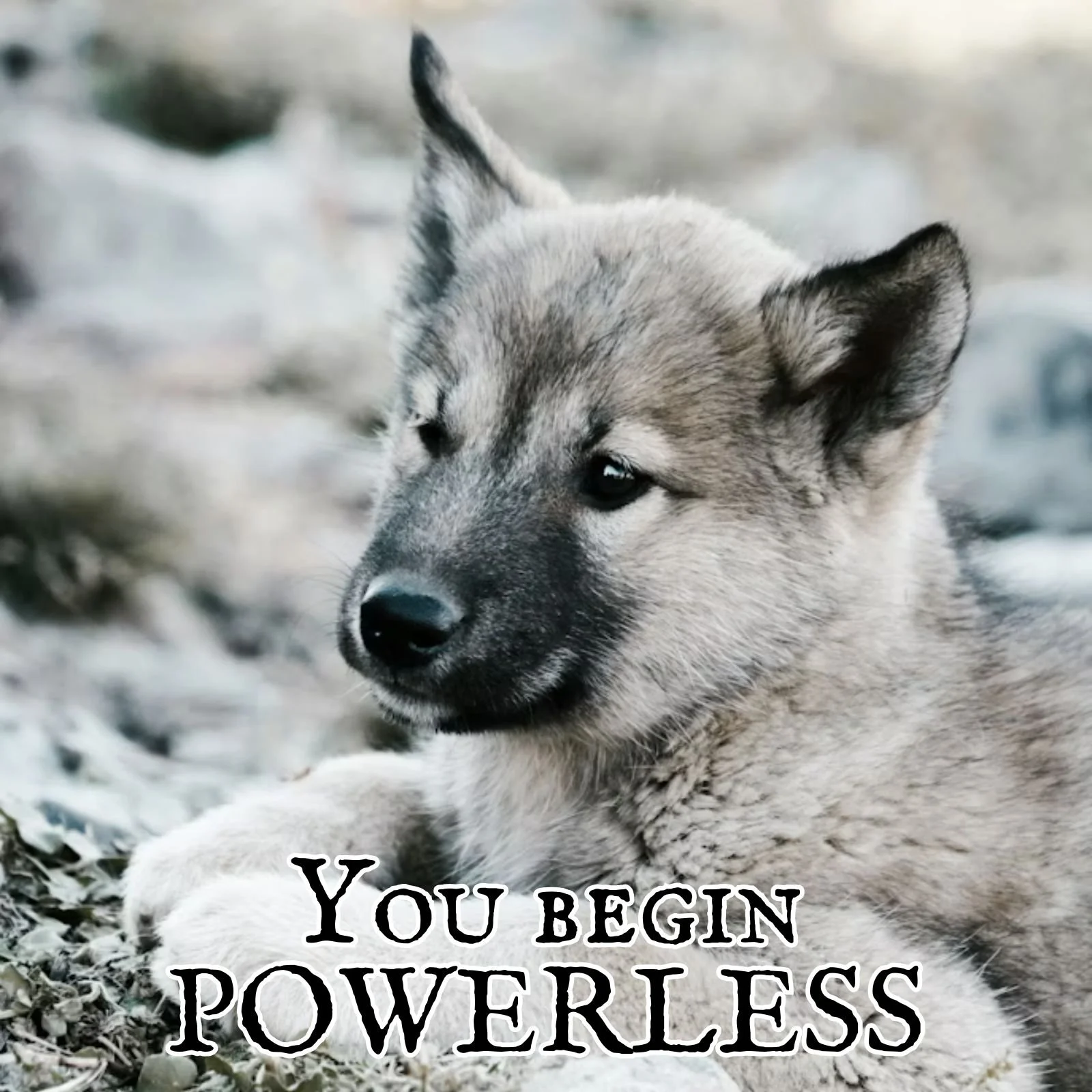 You begin powerless…