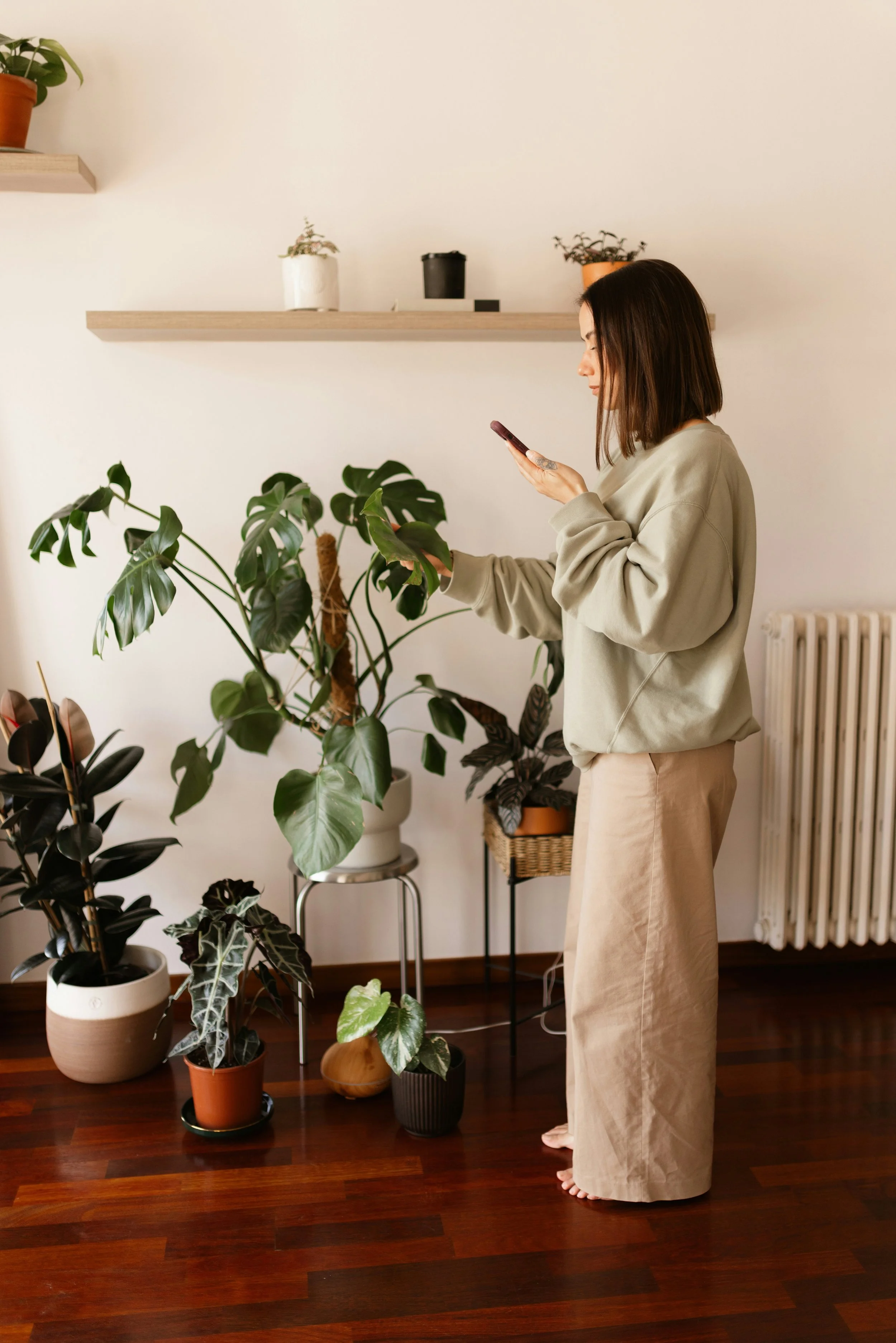 A Guide to Identifying and Caring for Your Tropical Houseplant